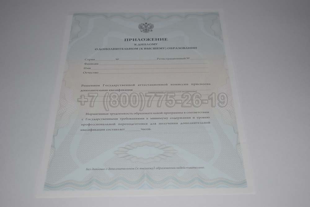 Приложение к диплому MBA Гознак 2011-2025 год выпуска г.Челябинск