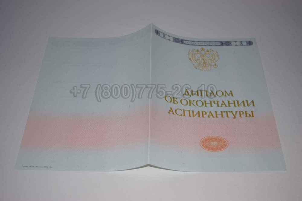 Бланк диплома аспирантуры Гознак 2014-2025 год выпуска г.Челябинск
