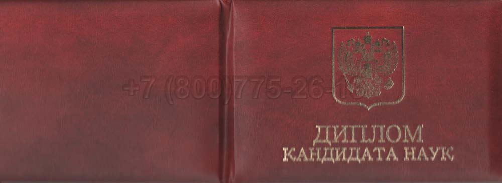 Диплом кандидата наук Гознак 2013-2016 год выпуска г.Челябинск