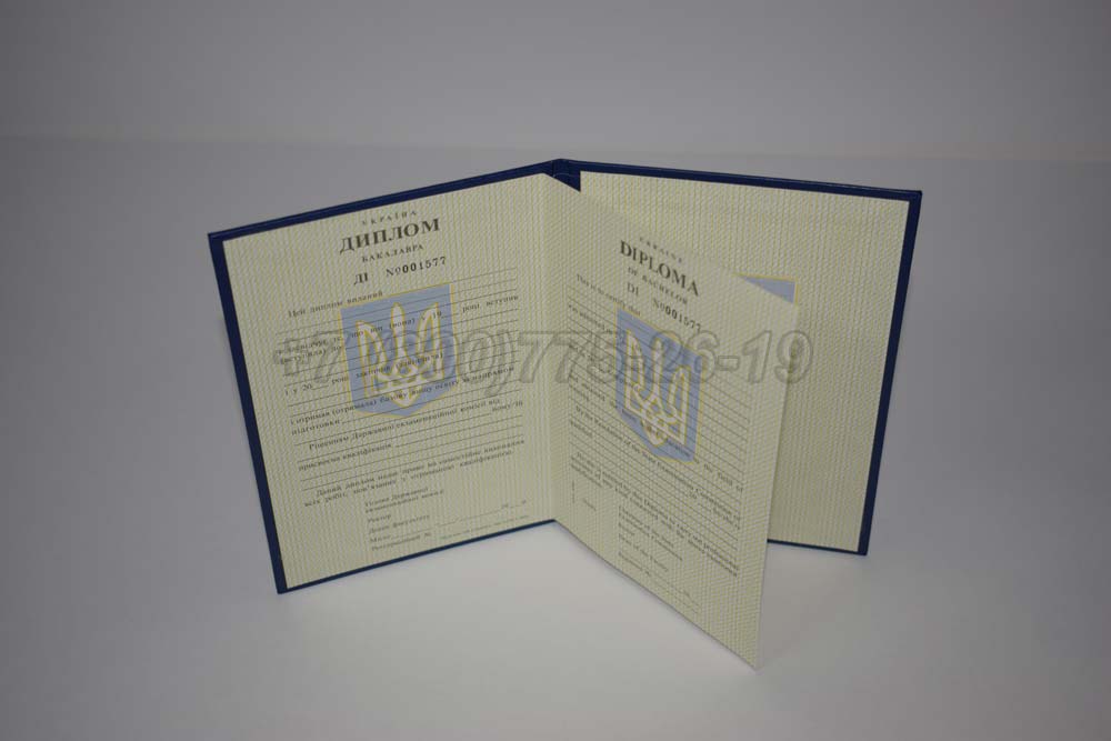 Диплом бакалавра Украины Гознак 1994-1999 год выпуска г.Челябинск